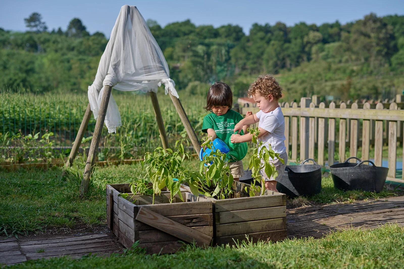 Children in outdoor sensory activity