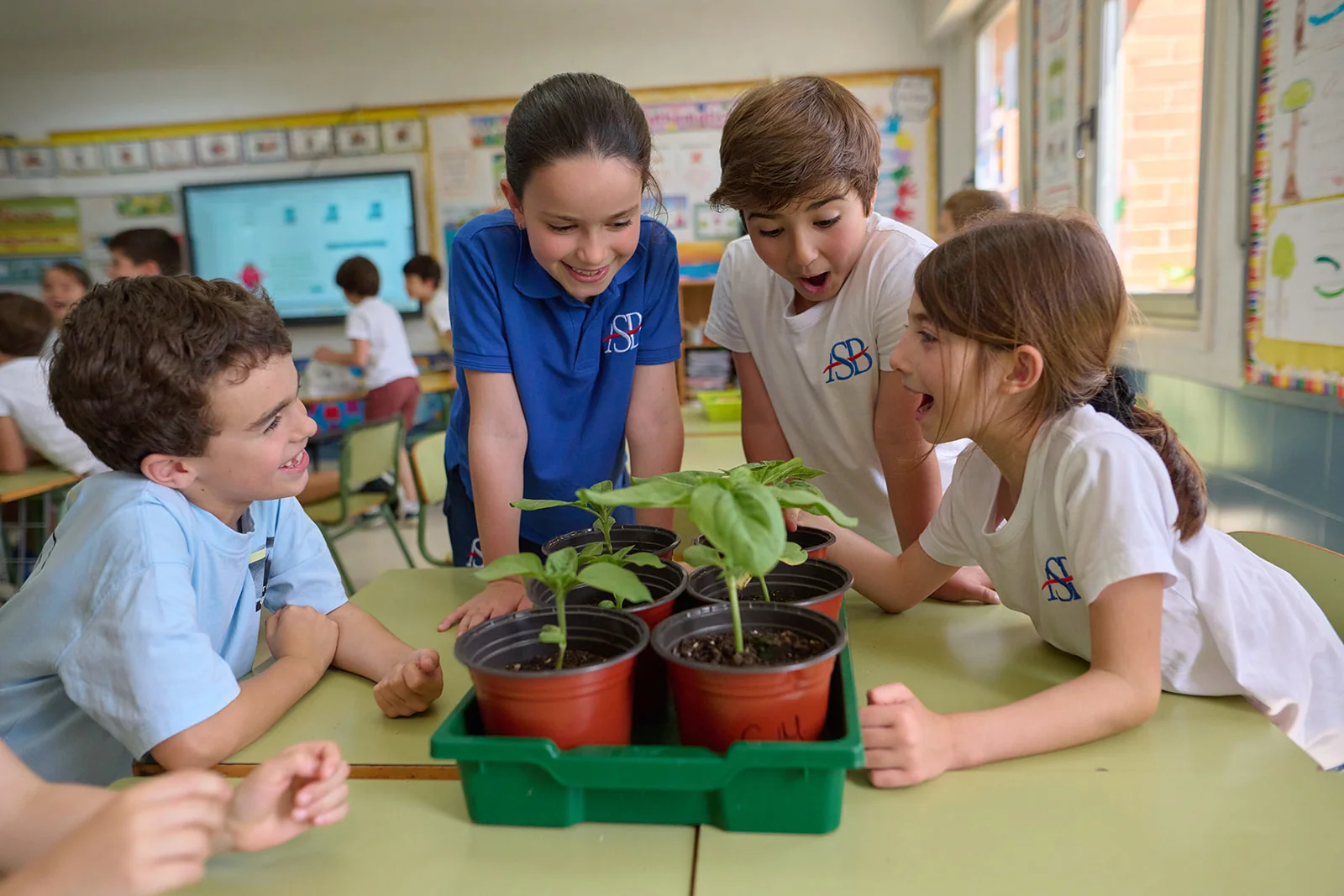 Primary students on field trip